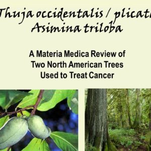 thuja and asimina title page - Chanchal Cabrera