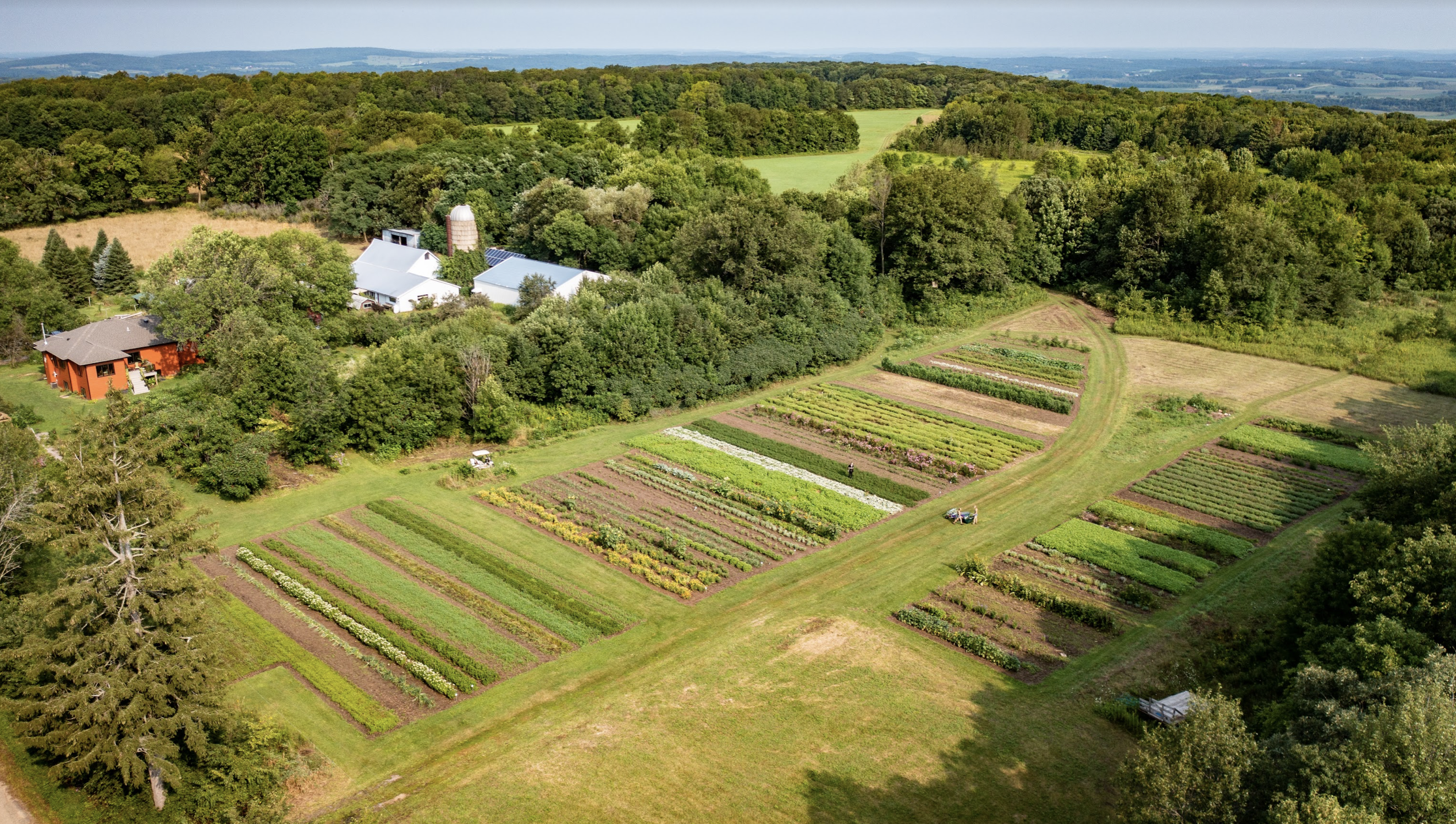 The Celestial Garden / Gardening by the Moon