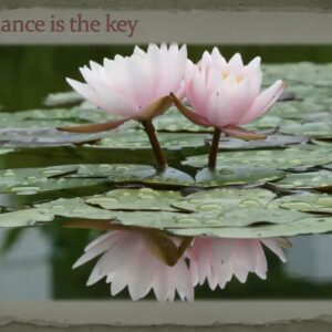 Perfect Storm – The Tissue State or Treating the Terrain that lead to Infections