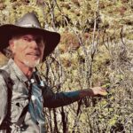 Lanny Kaufer