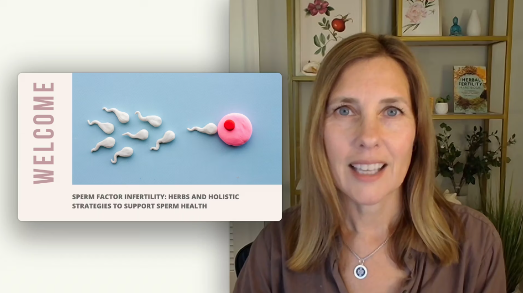 Supporting Testosterone & Sperm Health for Fertility (Live at 17th IHS)