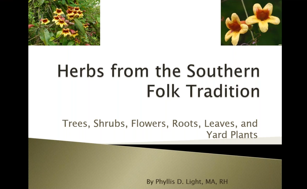 Southern Folk Medicine