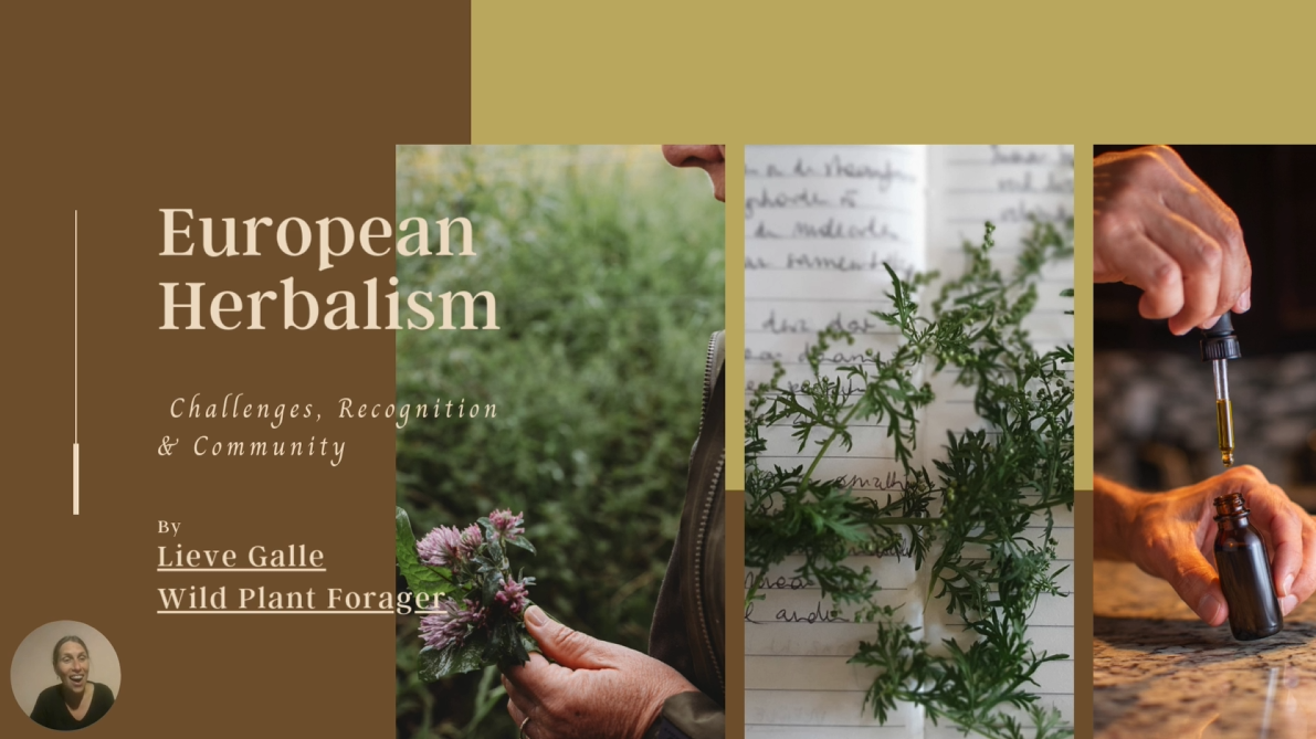 Cross-Cultural Herbalism: Understanding Europe’s Traditions Within Western Practice
