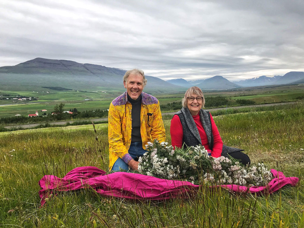 Iceland-yarrow---Healing-Spirits-Herb-Farm