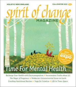 FallCoverSpiritofChange-Carol-Bedrosian