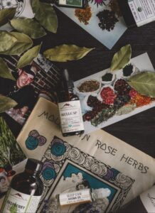 Mountain-Rose-Old-meets-new-scaled-e1641412700816-600x826