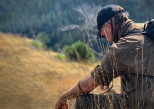 Mountain-Rose-Shawn-in-grass-300x214